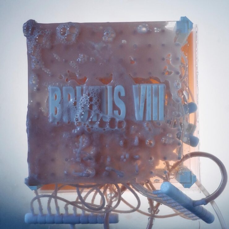 Brutus VIII Do It For the Money review