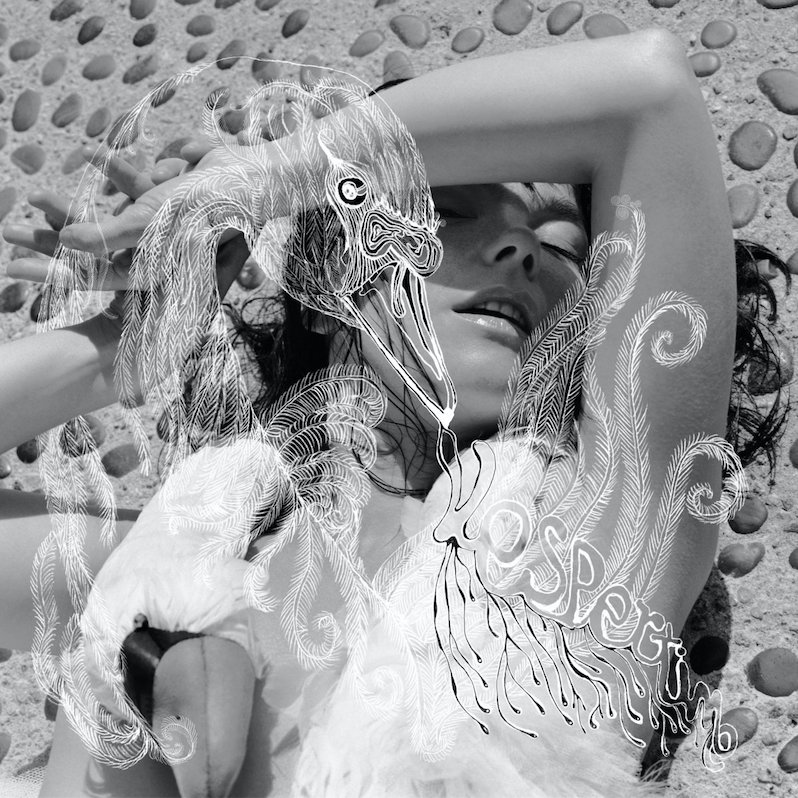Björk albums guide - Vespertine