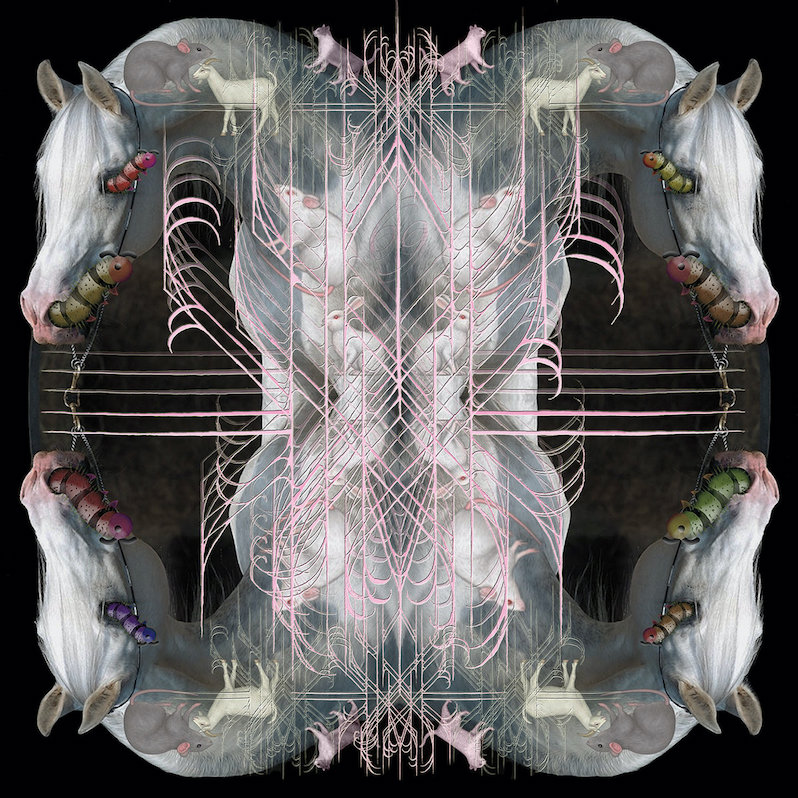 essential hausu mountain releases - Eartheater
