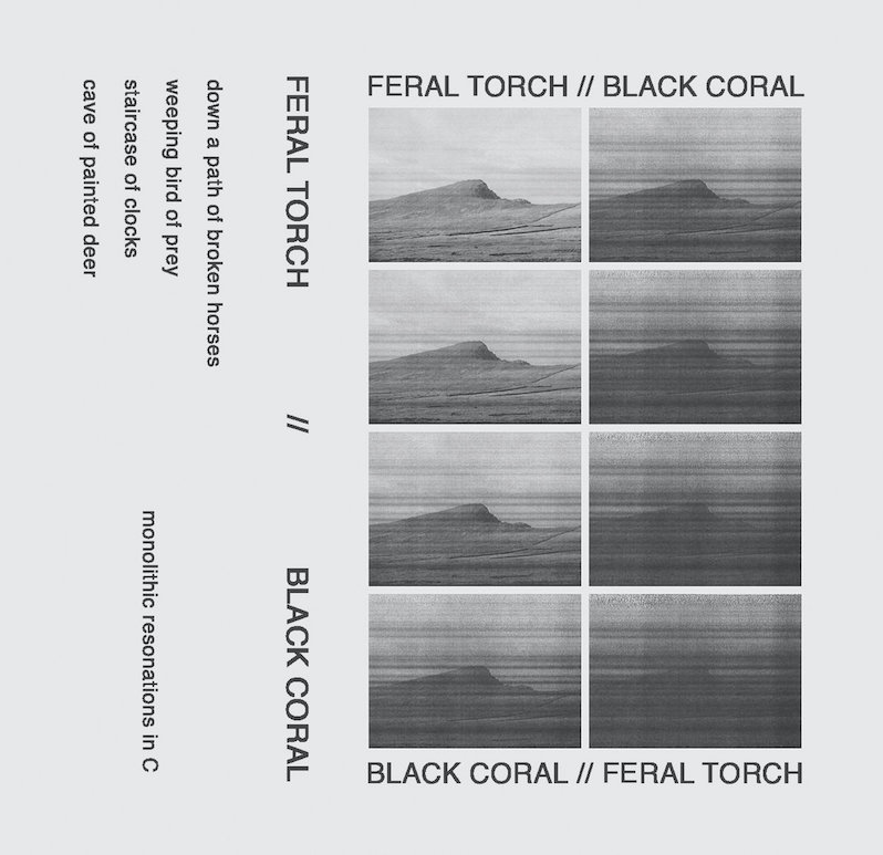 great ambient albums from summer 2025