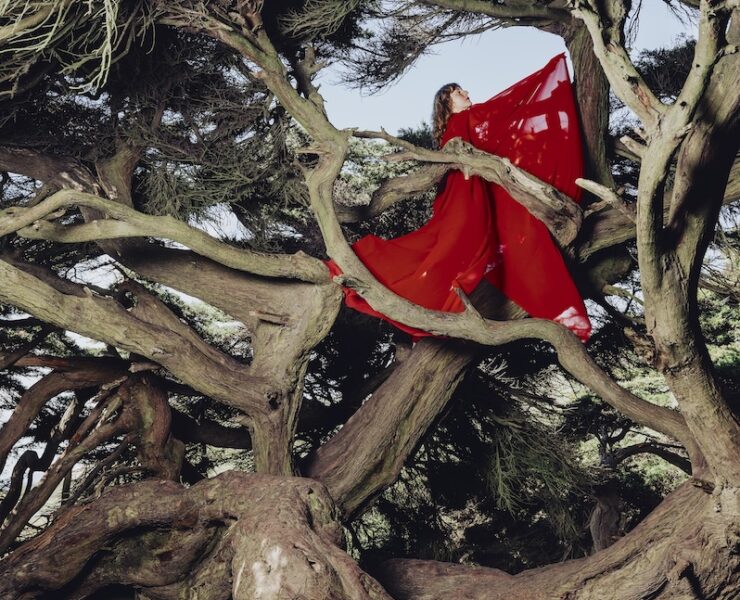 Hannah Frances Nested in Tangles review