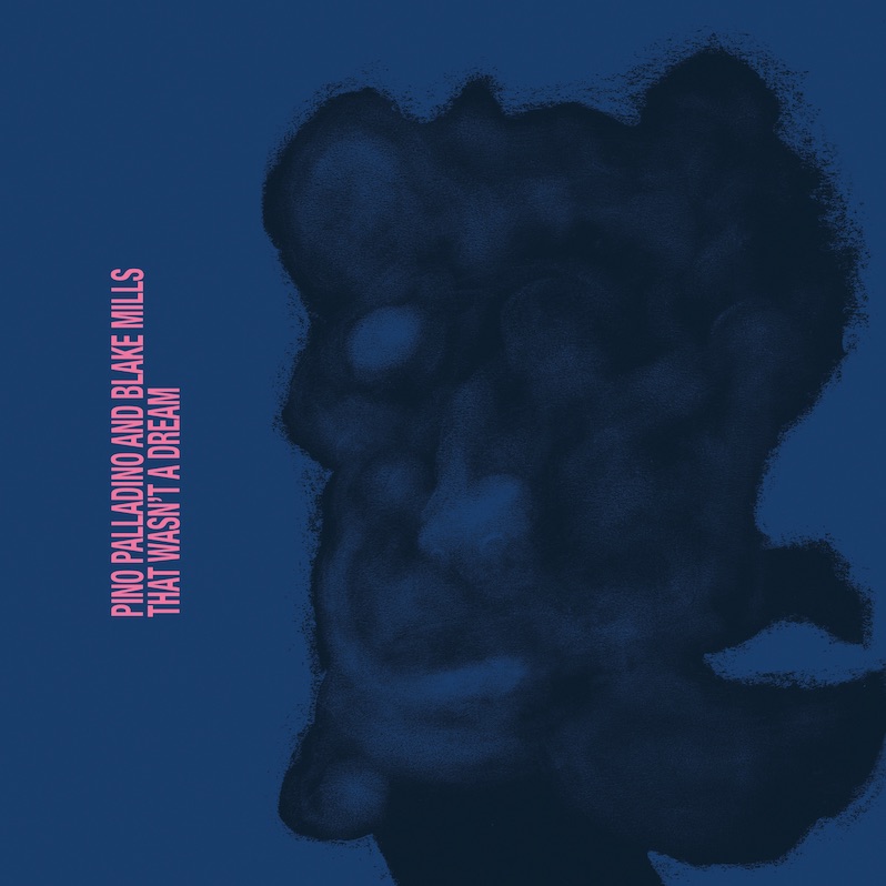 Pino Palladino and Blake Mills That wasn't a dream review