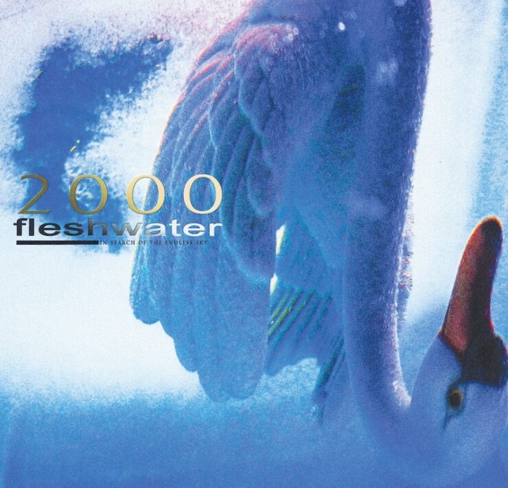 fleshwater 2000: in search of the endless sky review