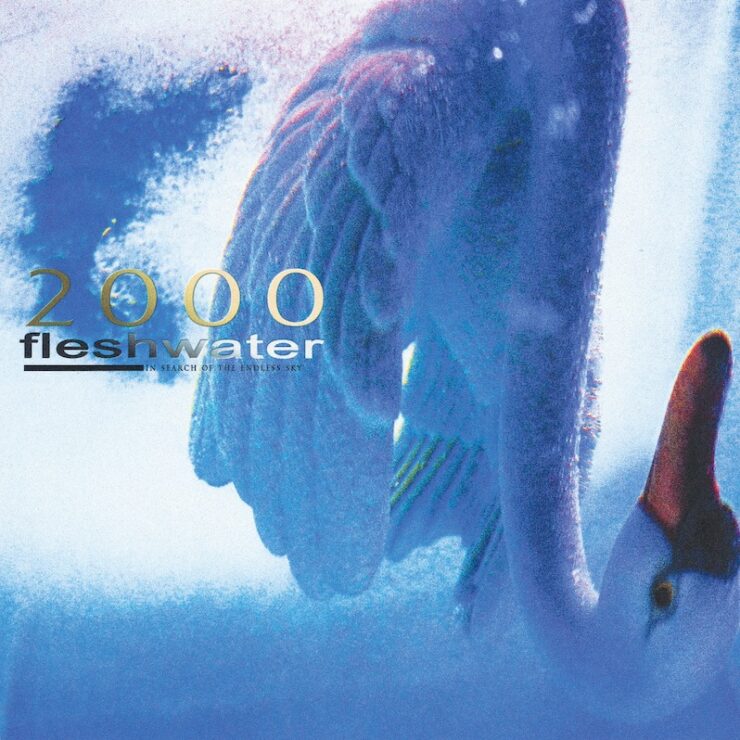 fleshwater 2000: in search of the endless sky review