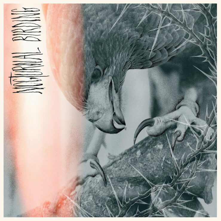 Author & Punisher Nocturnal Birding review