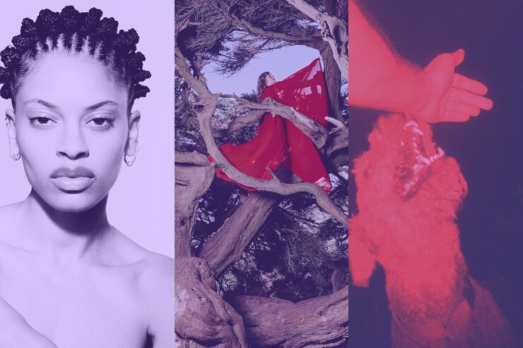 the best folk albums of 2025