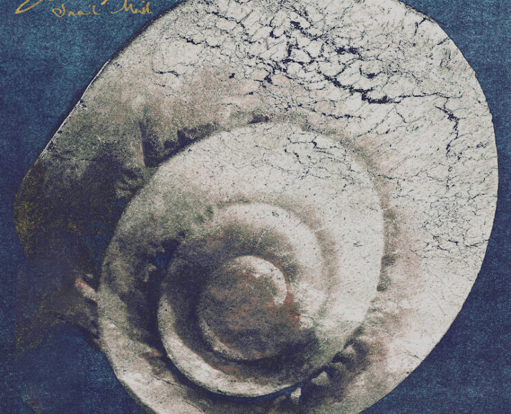Snail Mail Ricochet review