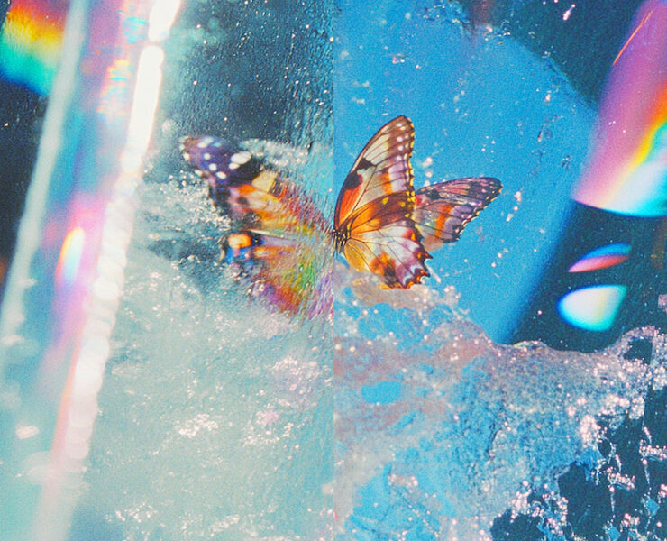 Daphni Butterfly review