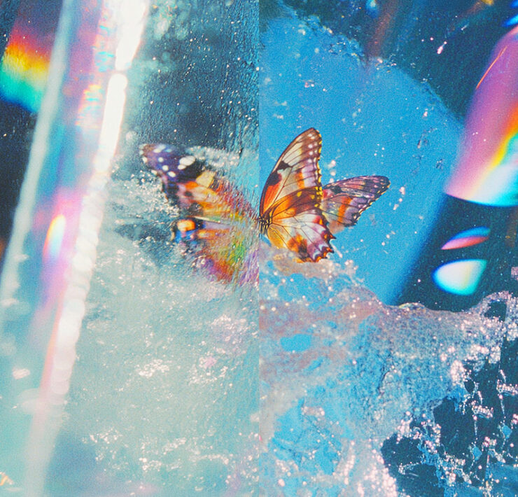 Daphni Butterfly review