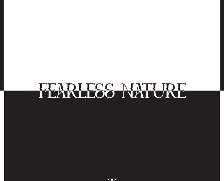 Kid Kapichi Fearless Nature review