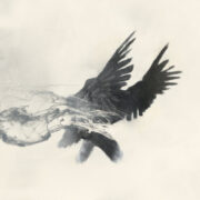Chris Lippincott An Angel in the Jetstream review