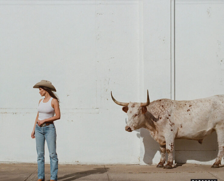 Kacey Musgraves Middle of Nowhere review