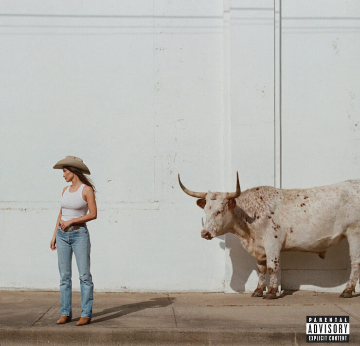 Kacey Musgraves Middle of Nowhere review
