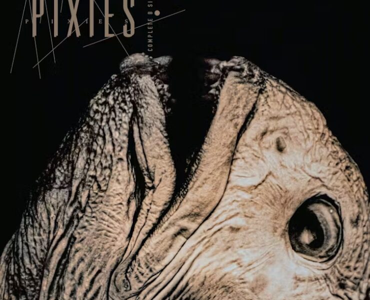 Pixies Complete B-sides vinyl