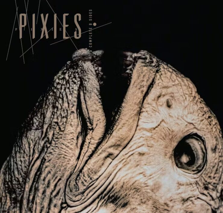 Pixies Complete B-sides vinyl