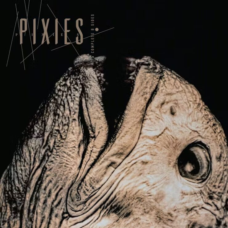Pixies Complete B-sides vinyl