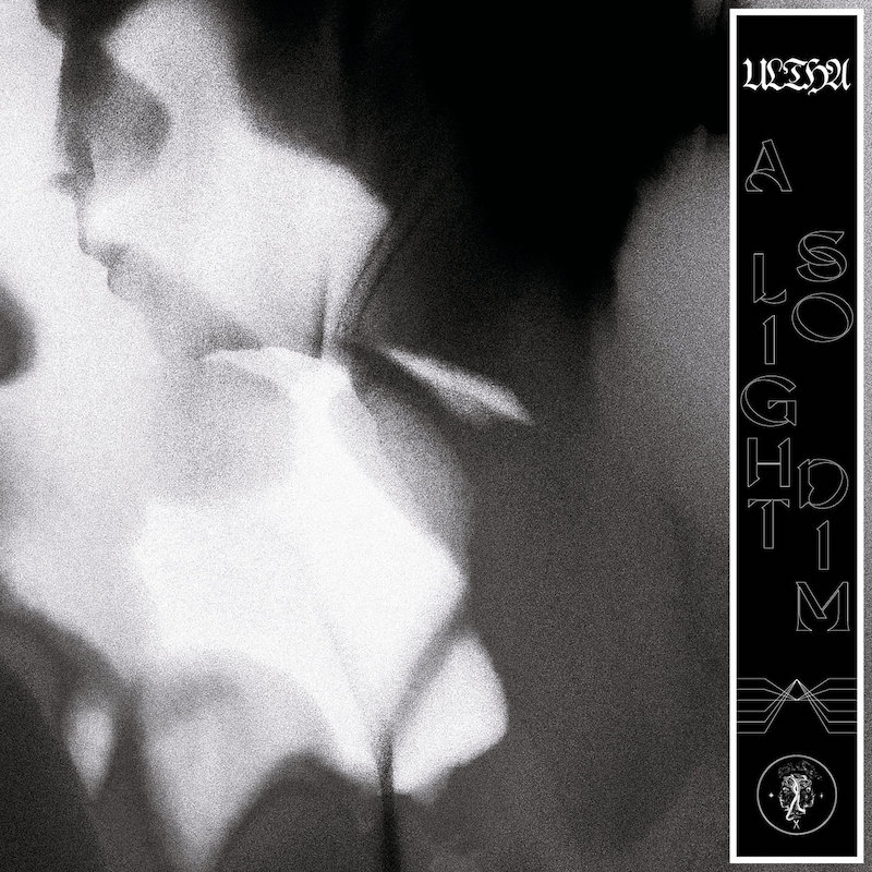 best albums of 2026 so far - Ultha