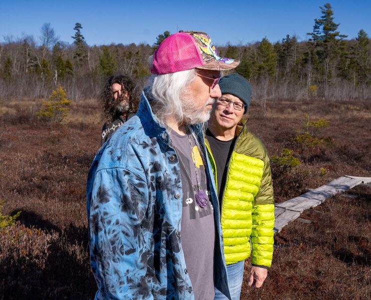 Dinosaur Jr.