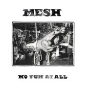 Mesh No Fun at All
