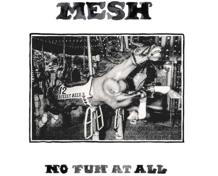 Mesh No Fun at All