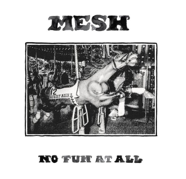 Mesh No Fun at All