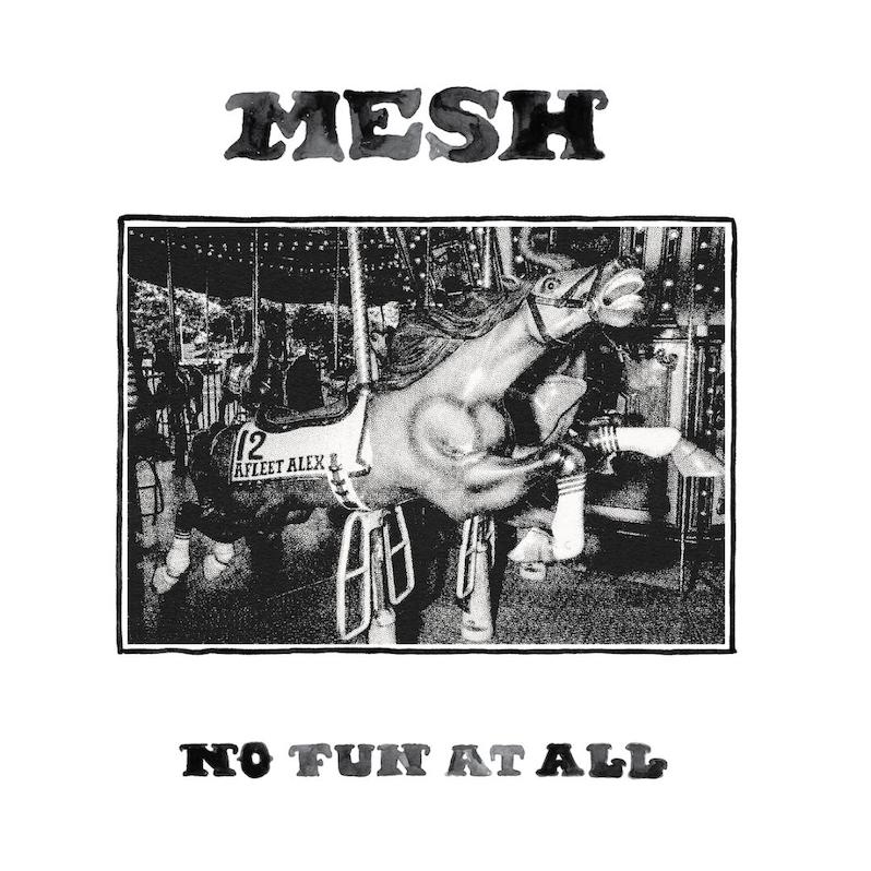 Mesh No Fun at All